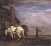POTTER, Paulus Two Drafthorses in Front of a Cottage (mk05) oil on canvas